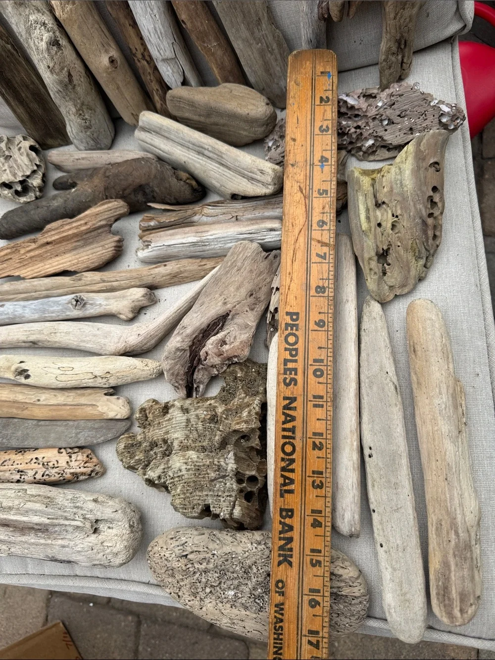 35 pcs (5lbs shipped) Natural Driftwood Pieces for decor, arts, crafts, projects